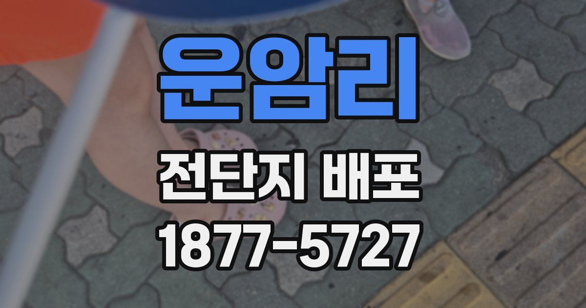 운암리 전단지 배포