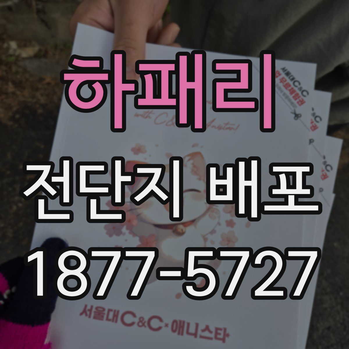 하패리 전단지 배포