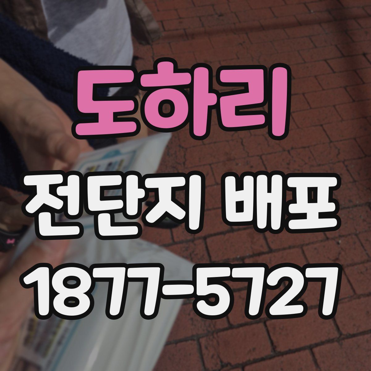 도하리 전단지 배포