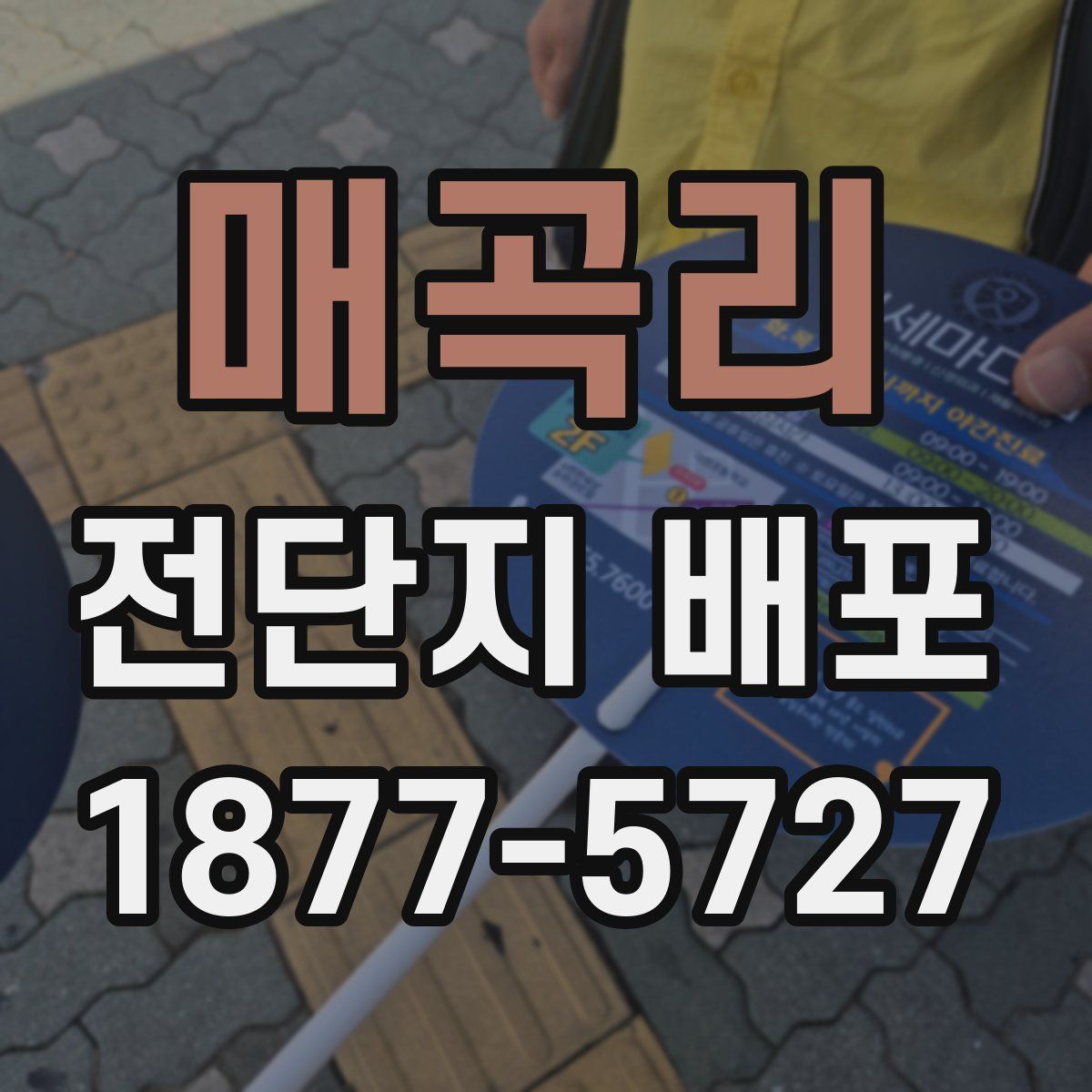 매곡리 전단지 배포