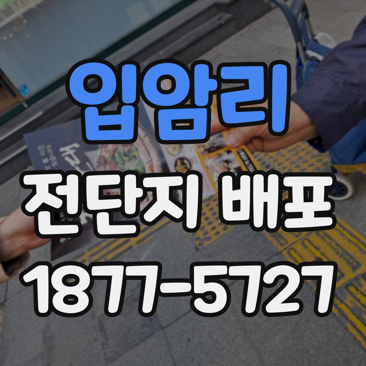 입암리 전단지 배포