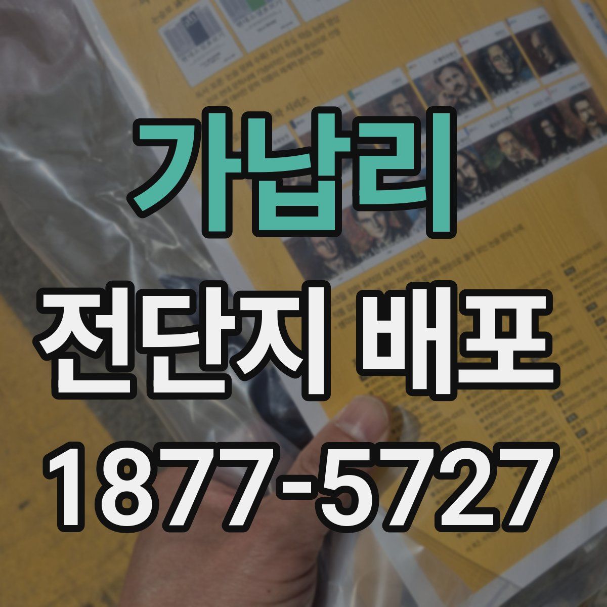 가납리 전단지 배포