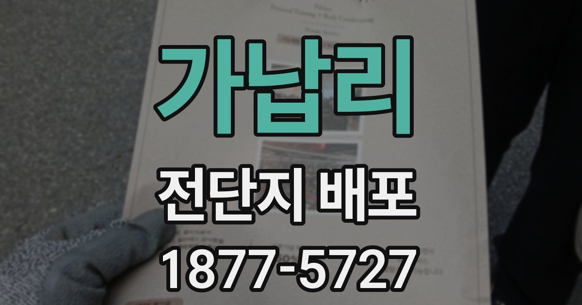 가납리 전단지 배포