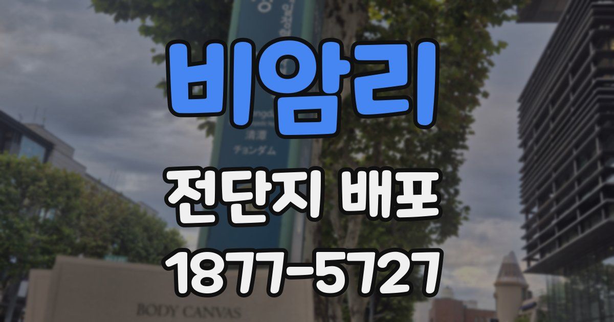 비암리 전단지 배포