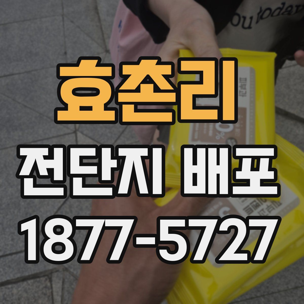 효촌리 전단지 배포