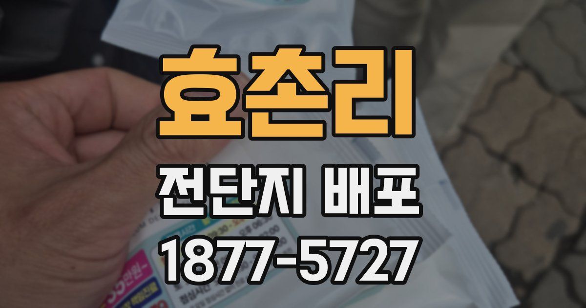 효촌리 전단지 배포