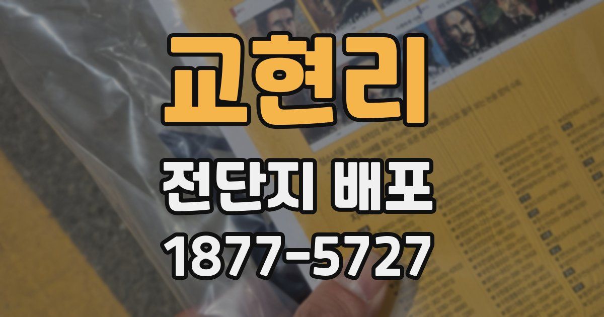 교현리 전단지 배포