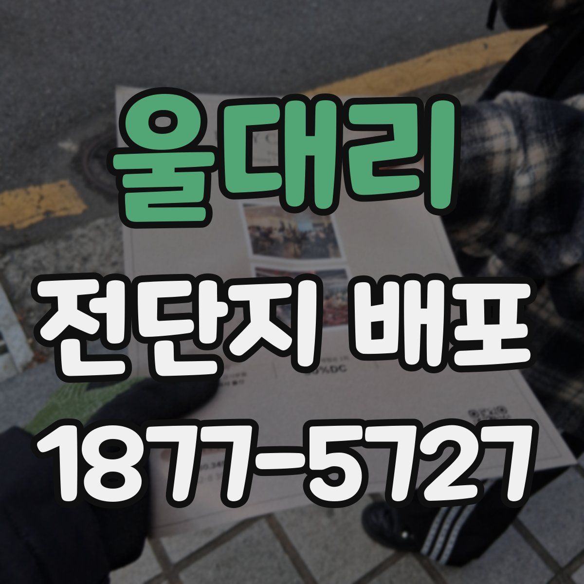 울대리 전단지 배포
