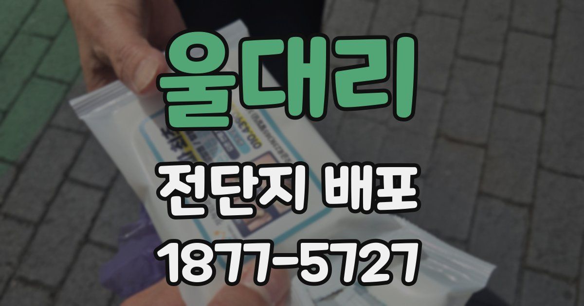 울대리 전단지 배포