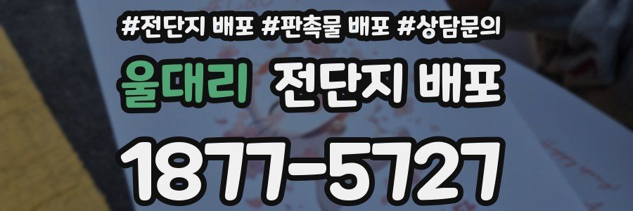 울대리 전단지 배포