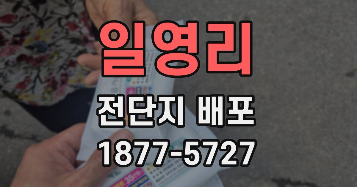일영리 전단지 배포