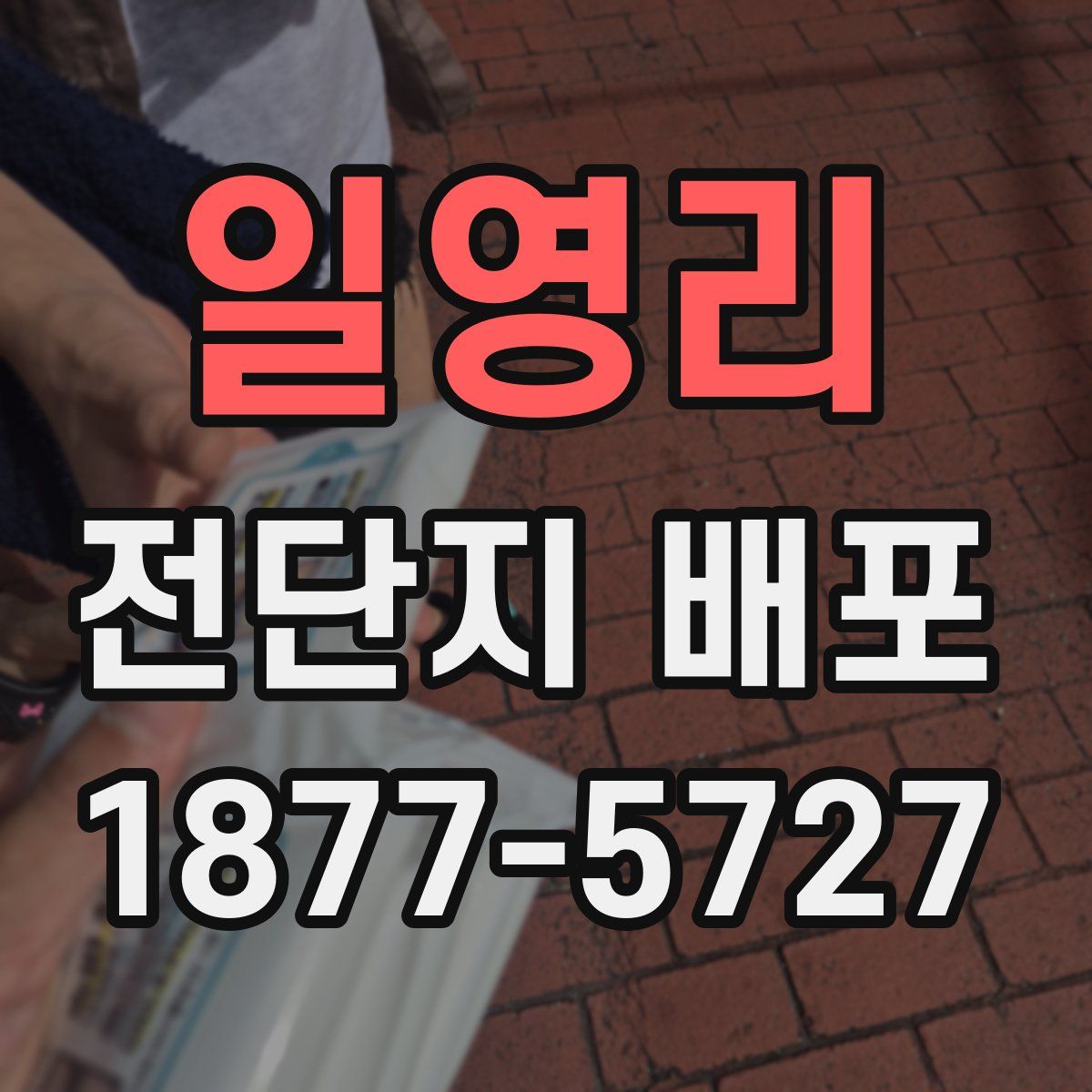 일영리 전단지 배포