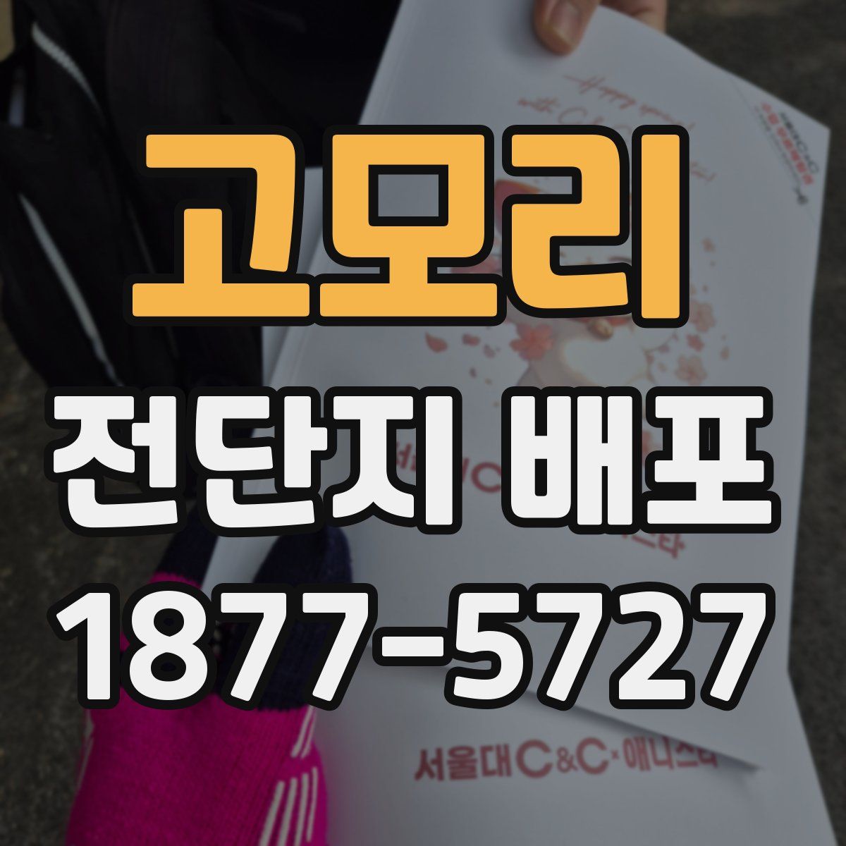 고모리 전단지 배포