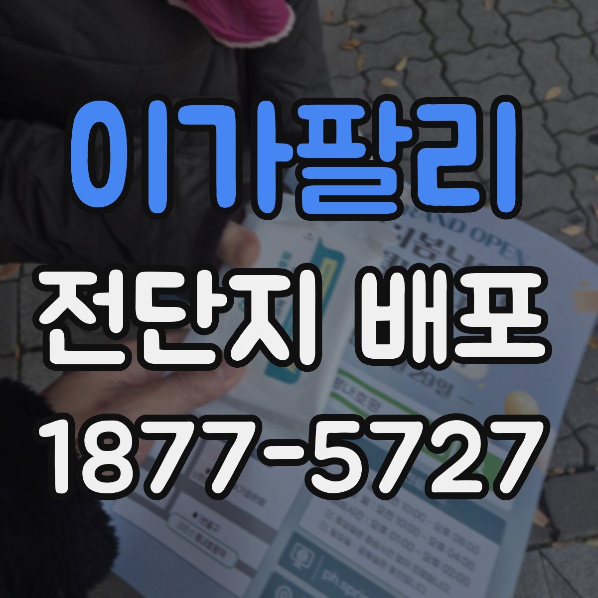 이가팔리 전단지 배포