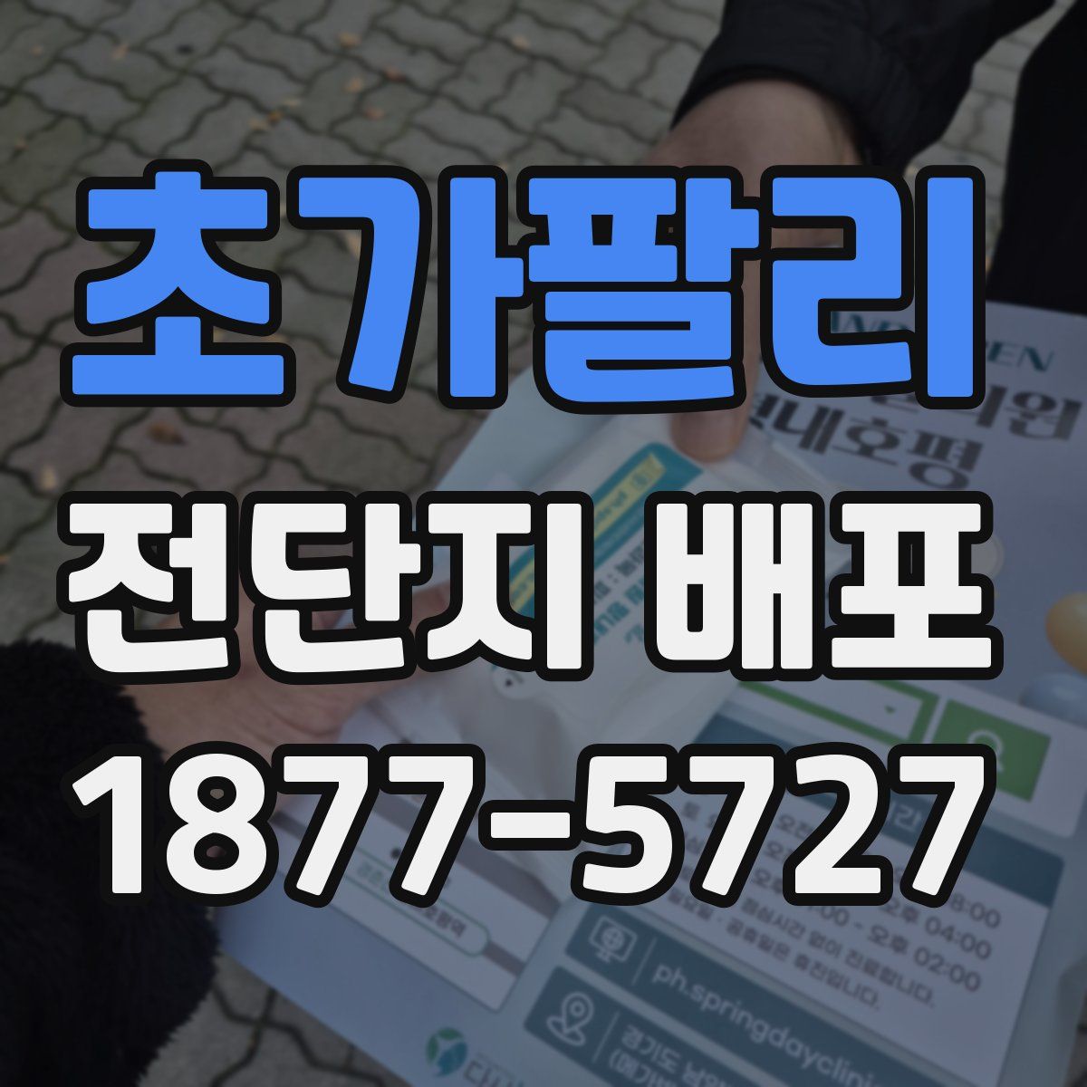 초가팔리 전단지 배포