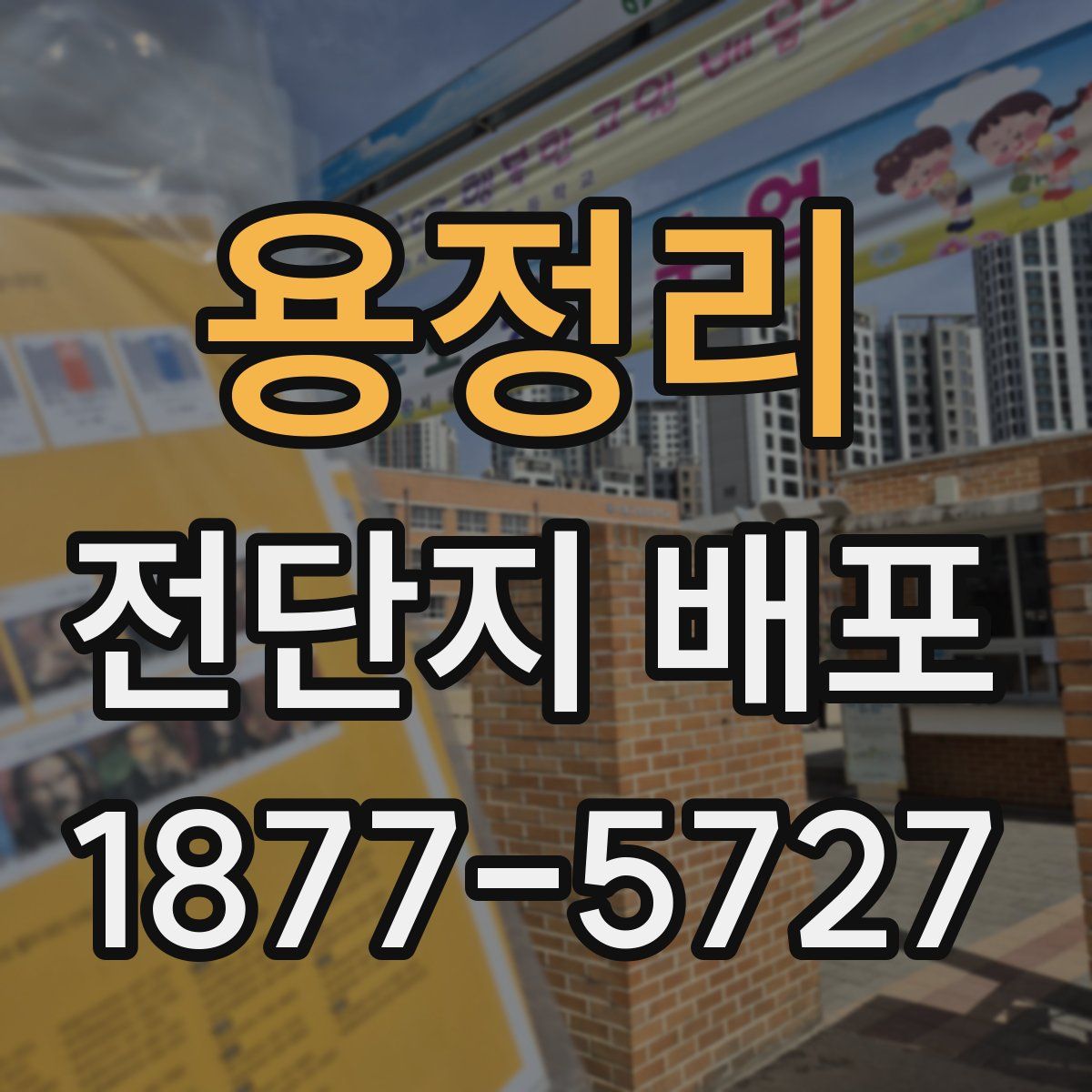용정리 전단지 배포