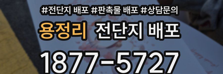 용정리 전단지 배포