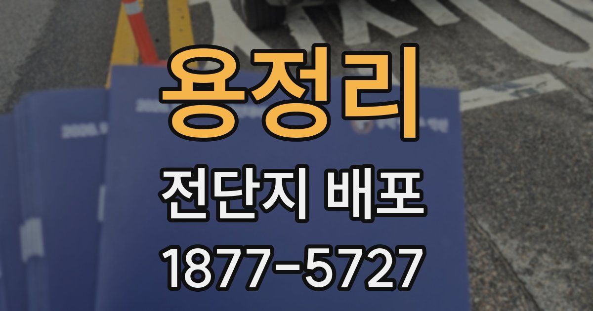 용정리 전단지 배포