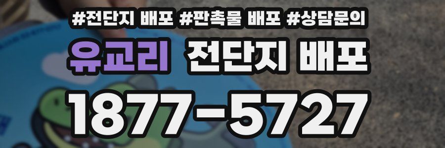 유교리 전단지 배포