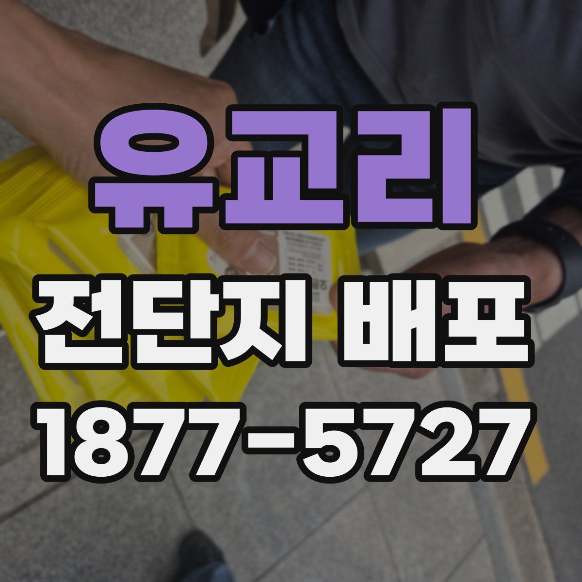 유교리 전단지 배포