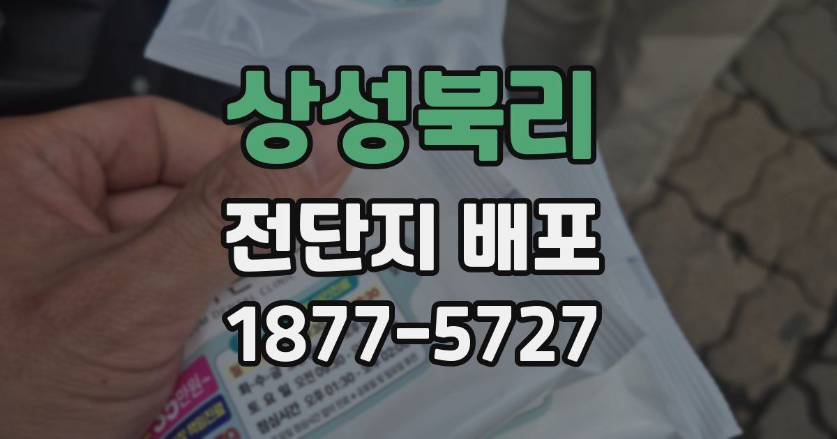 상성북리 전단지 배포