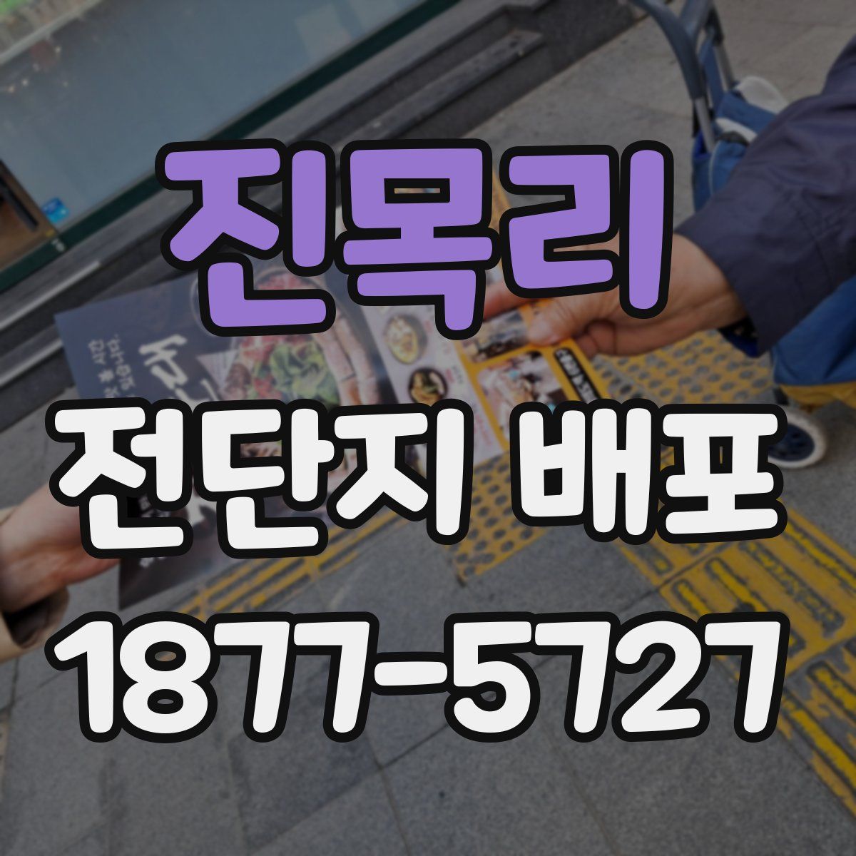 진목리 전단지 배포