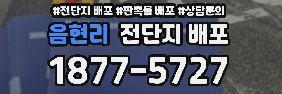 음현리 전단지 배포