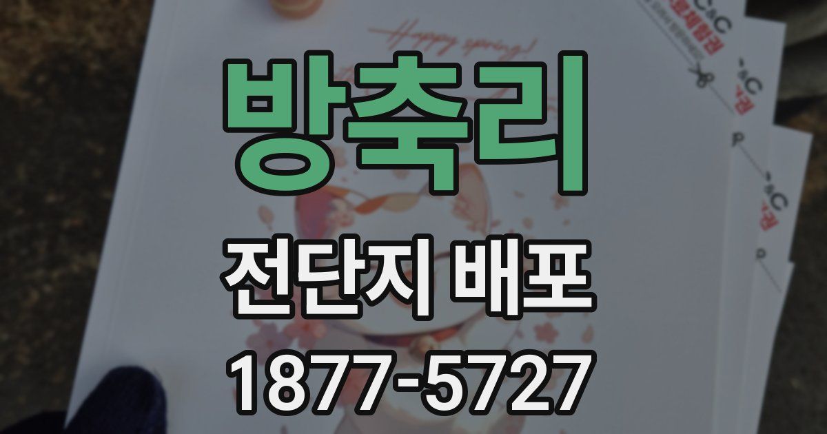 방축리 전단지 배포