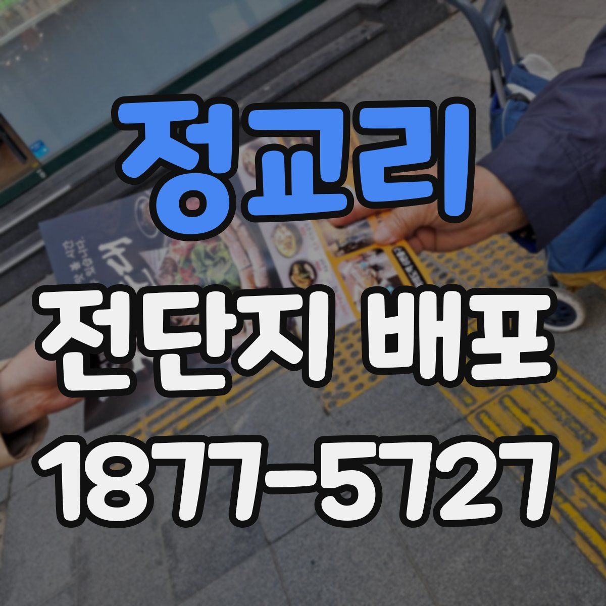 정교리 전단지 배포