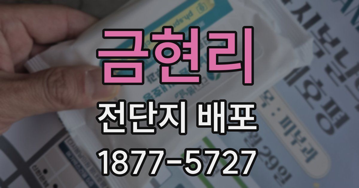 금현리 전단지 배포