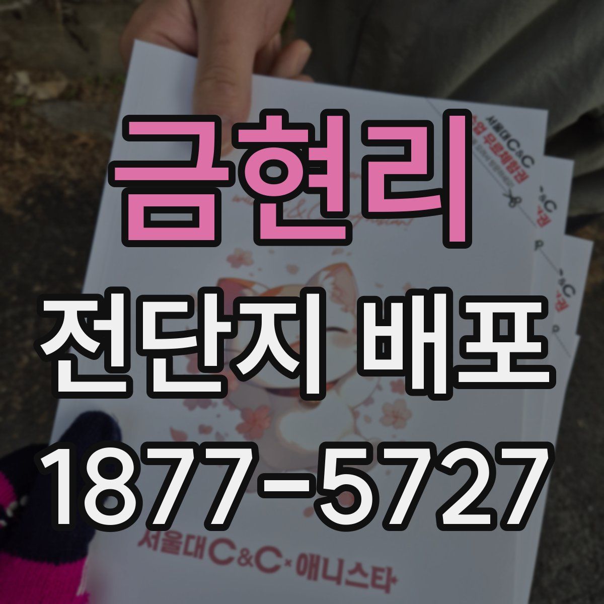 금현리 전단지 배포