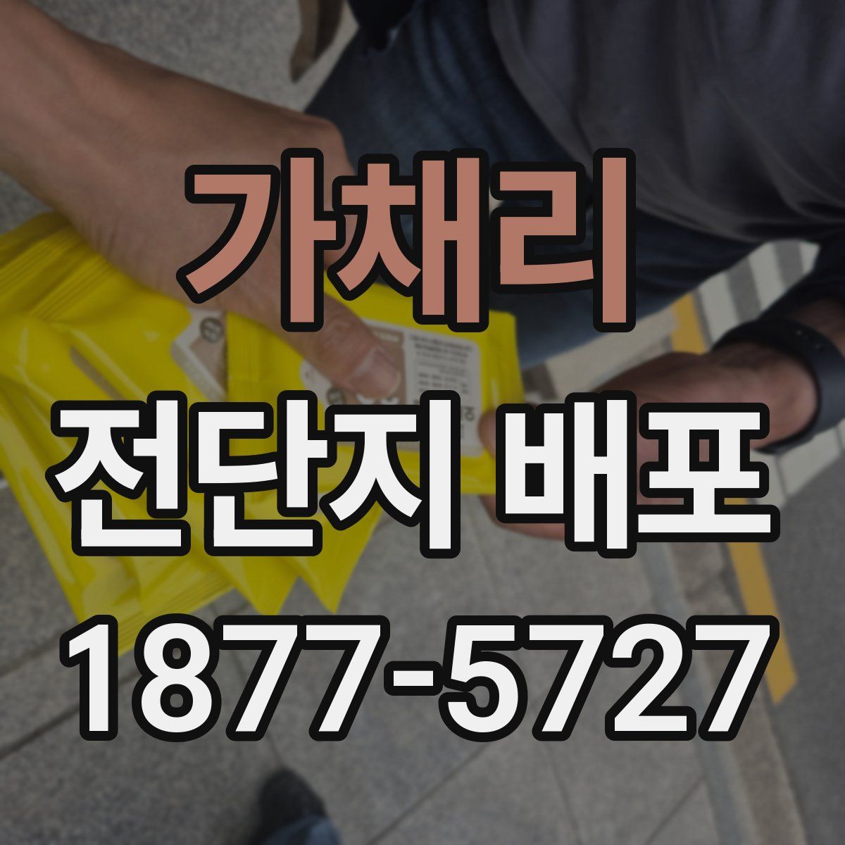 가채리 전단지 배포