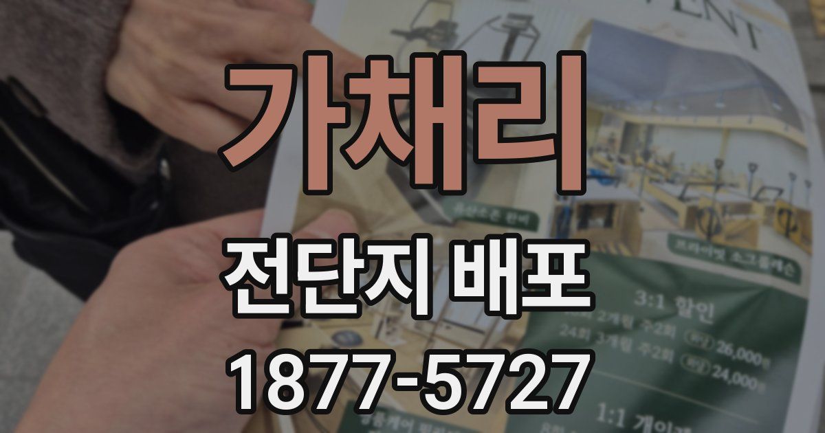 가채리 전단지 배포