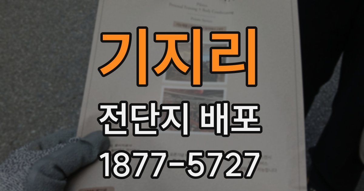 기지리 전단지 배포