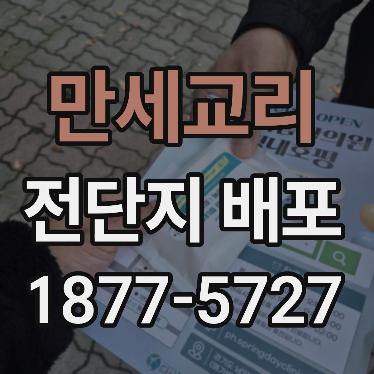 만세교리 전단지 배포