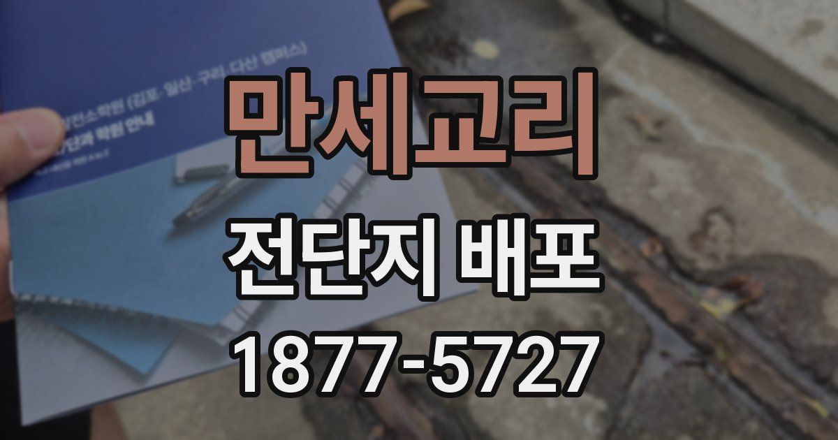 만세교리 전단지 배포
