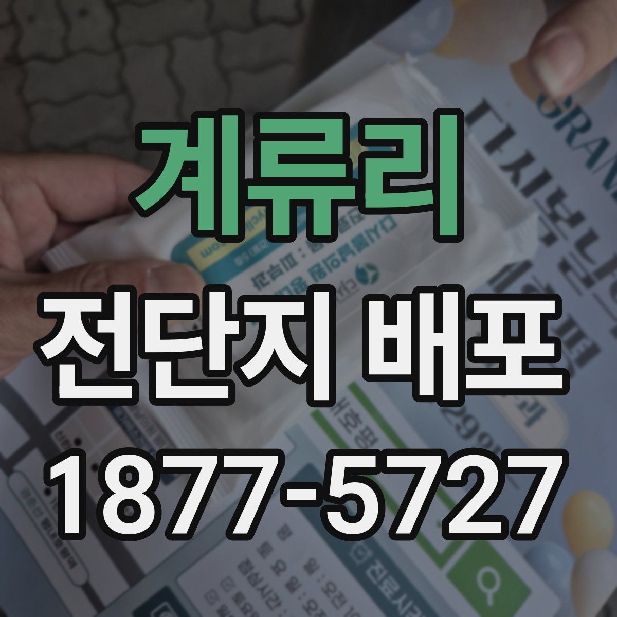 계류리 전단지 배포