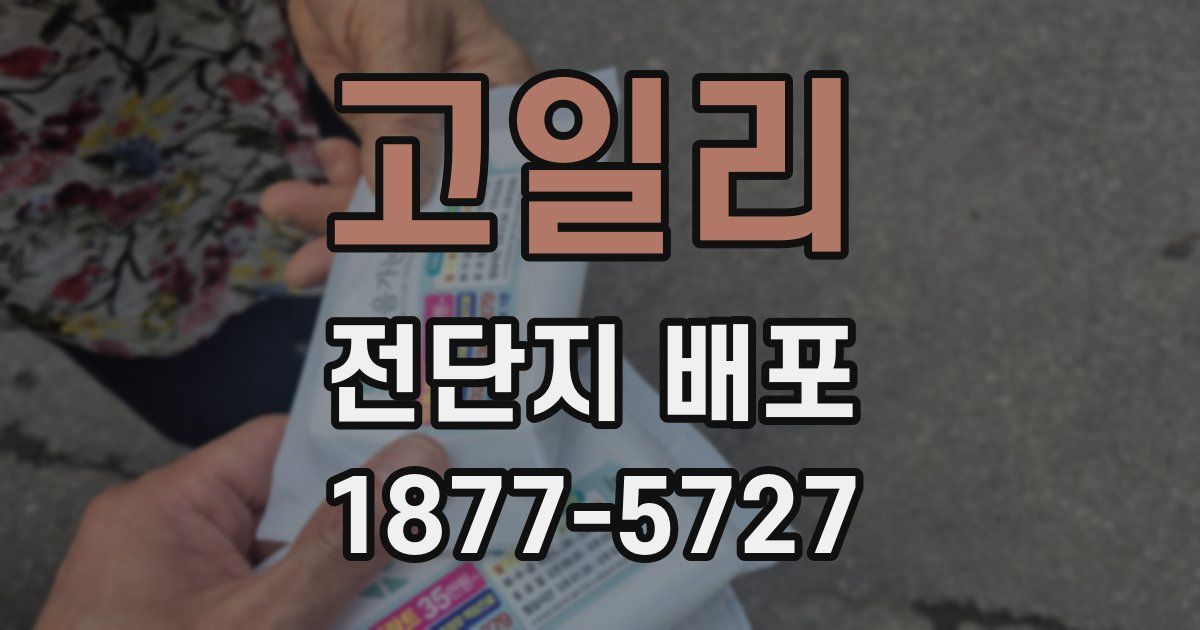 고일리 전단지 배포