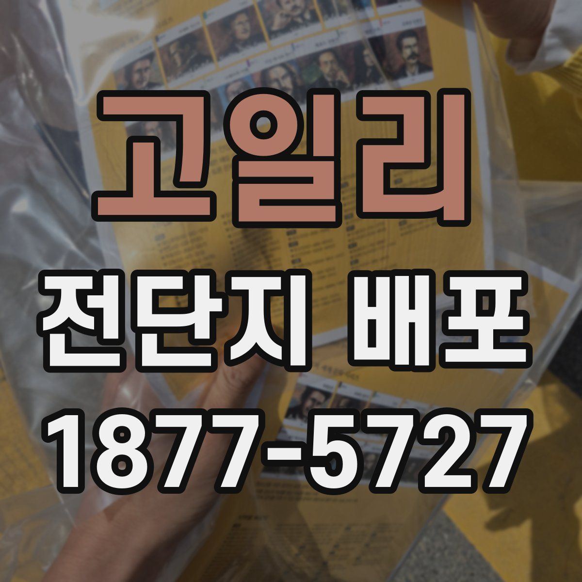 고일리 전단지 배포