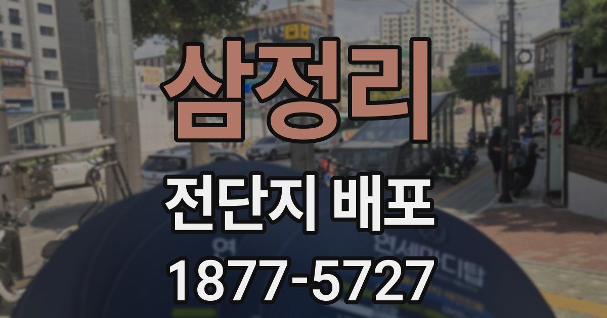 삼정리 전단지 배포