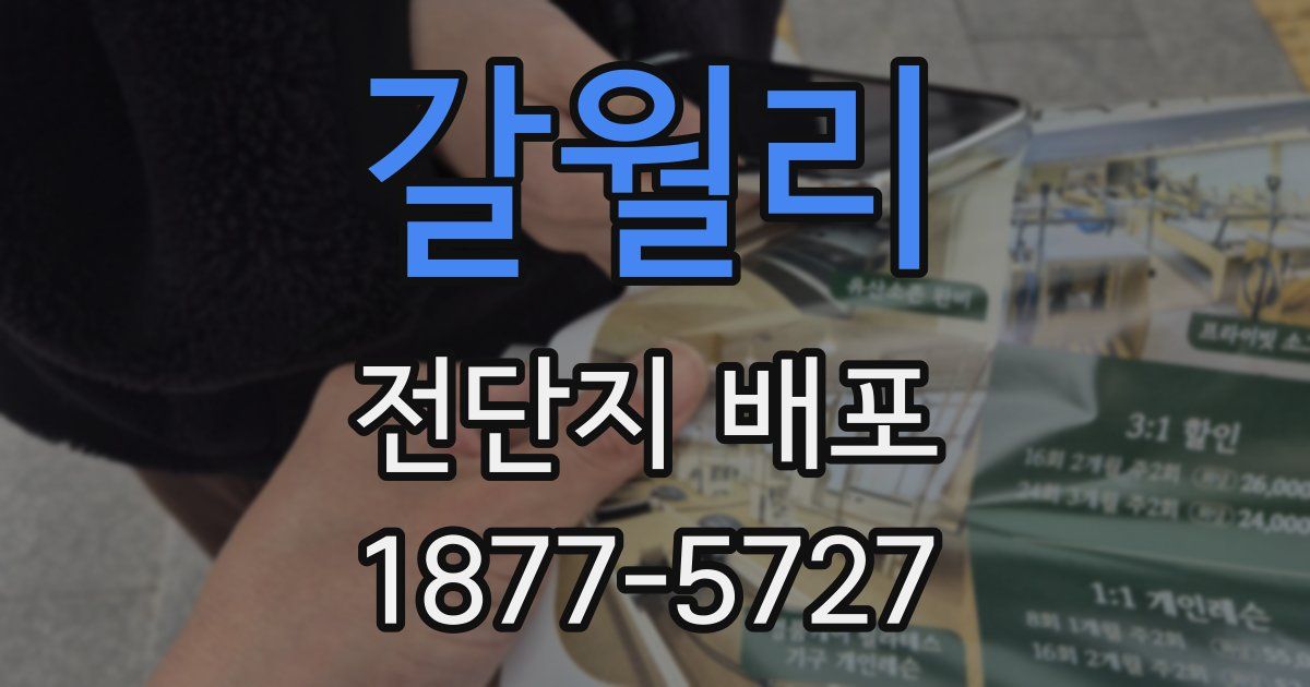 갈월리 전단지 배포