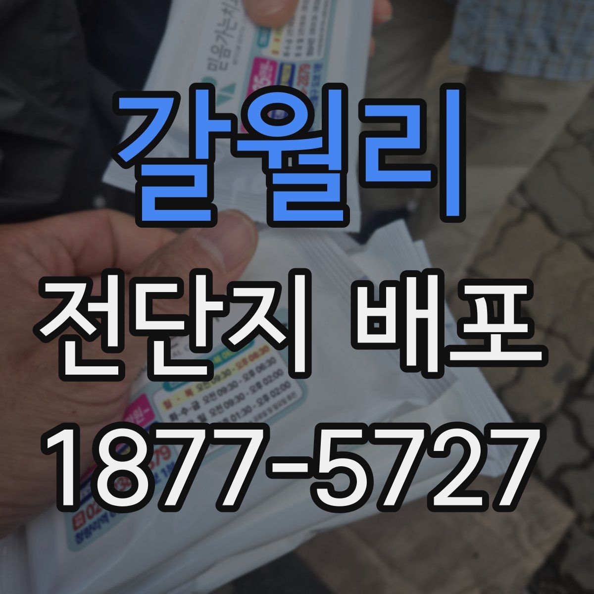 갈월리 전단지 배포
