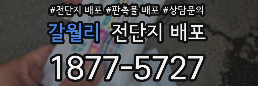 갈월리 전단지 배포