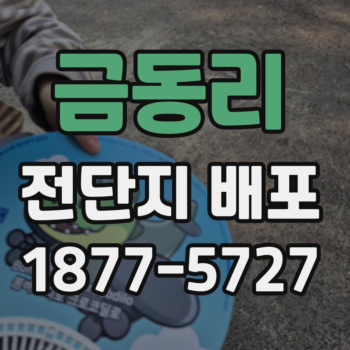 금동리 전단지 배포