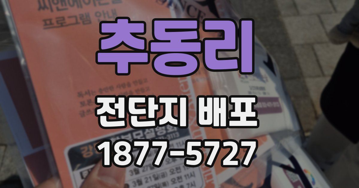 추동리 전단지 배포
