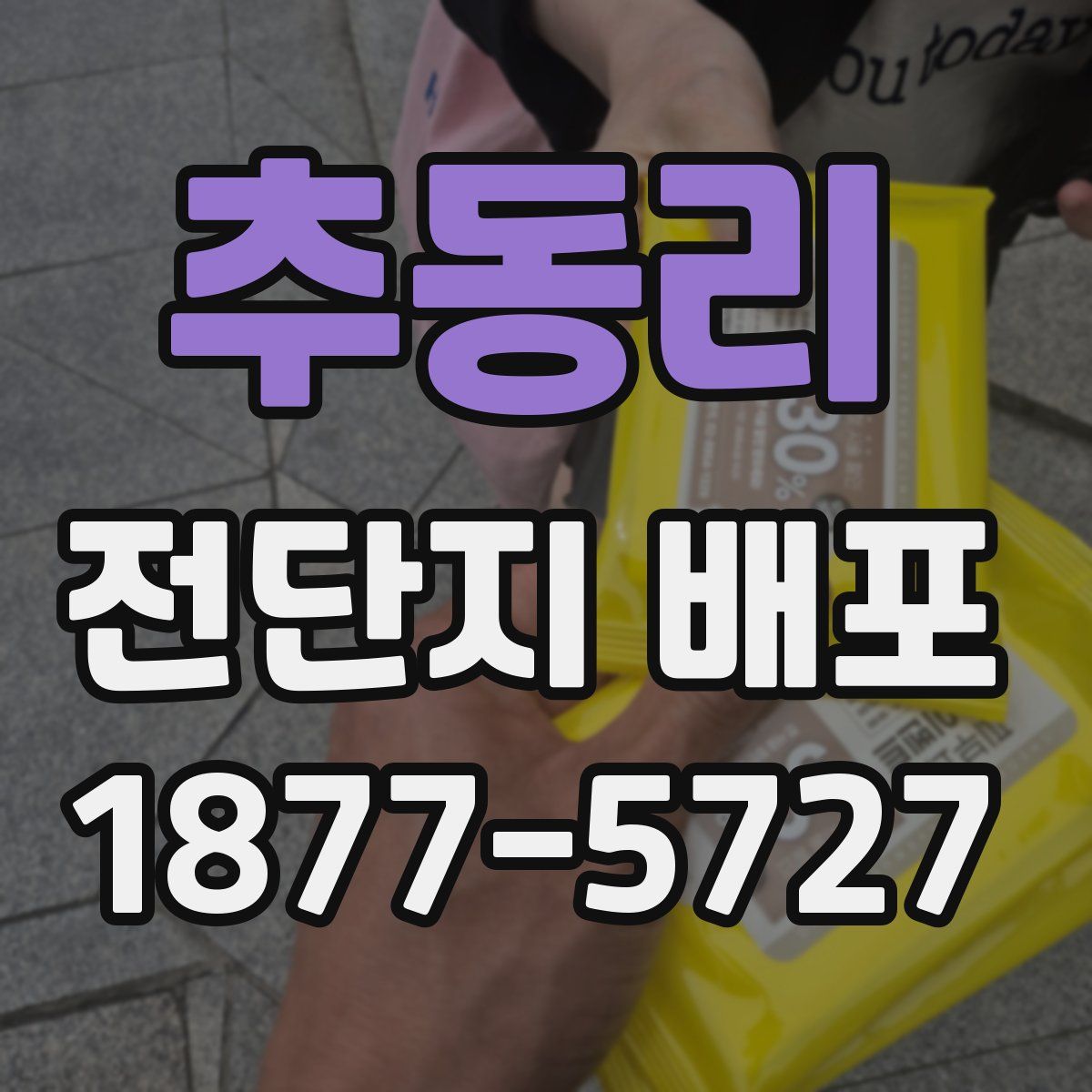 추동리 전단지 배포