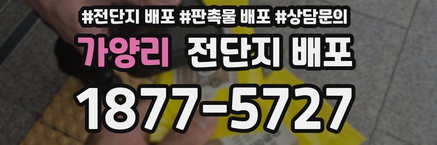 가양리 전단지 배포
