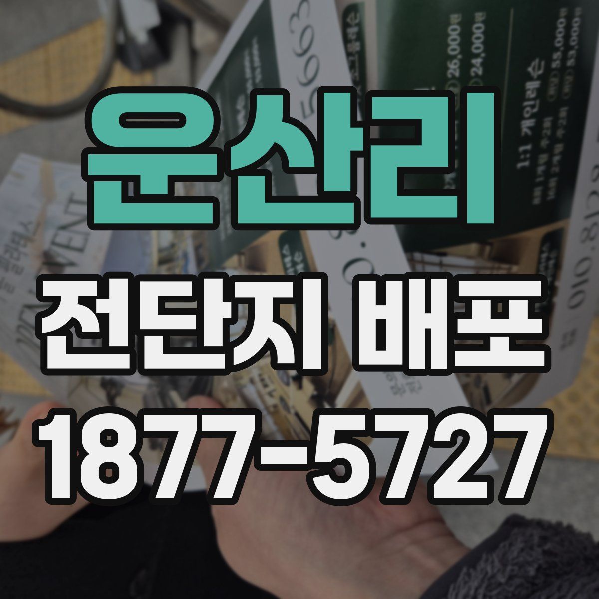 운산리 전단지 배포