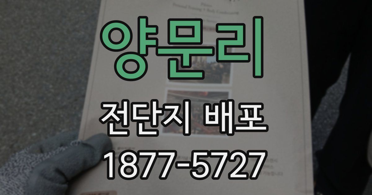 양문리 전단지 배포