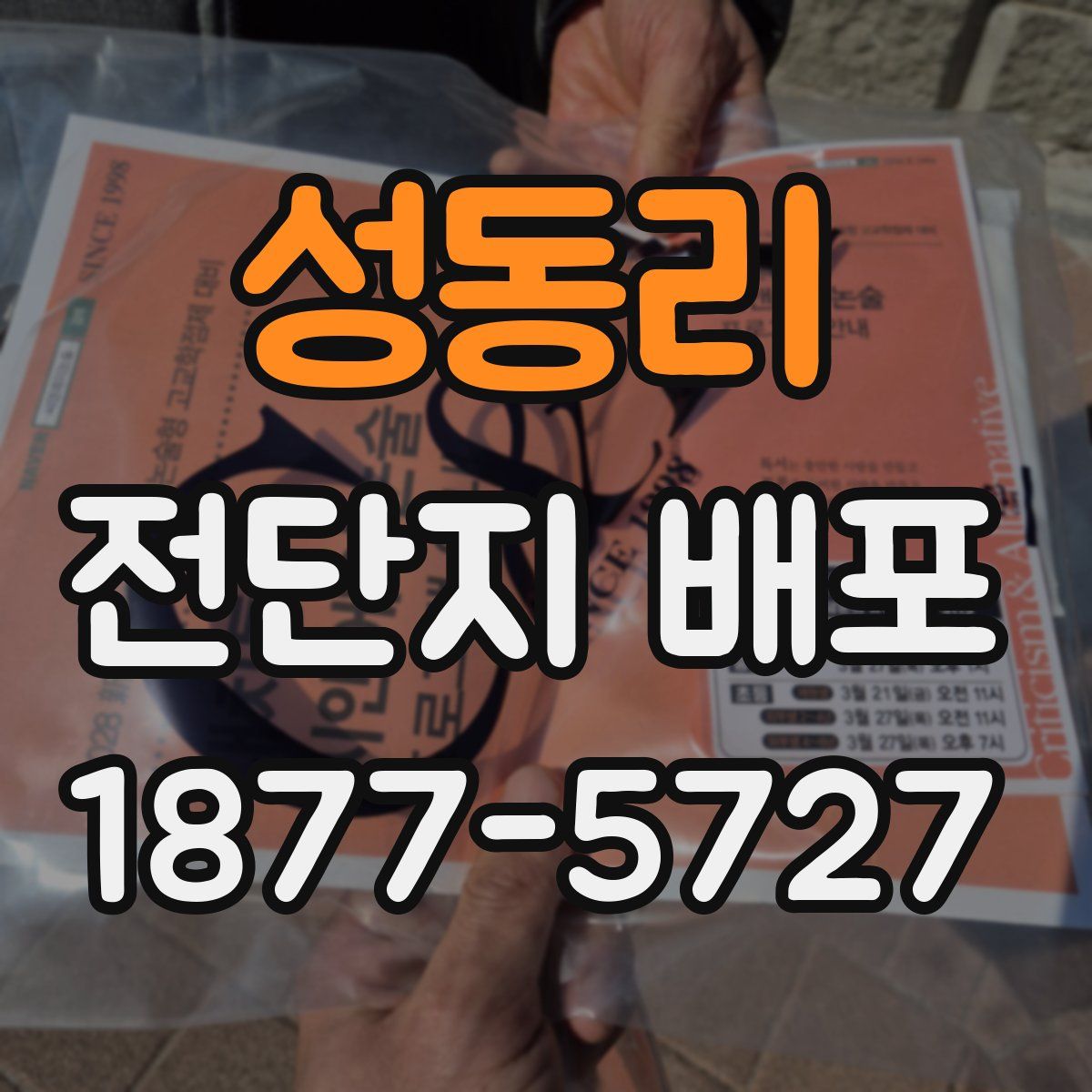 성동리 전단지 배포